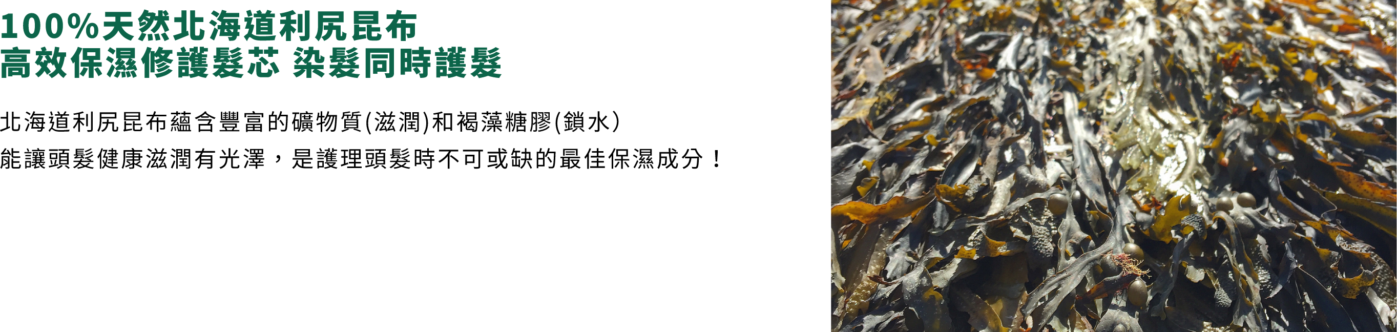 產品系列 - 飄然利尻昆布