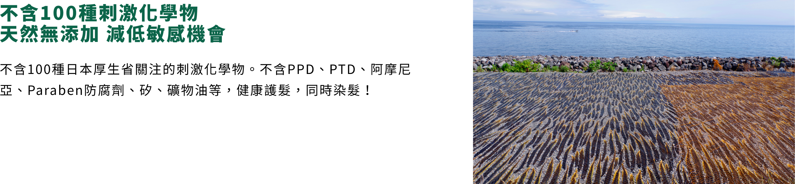 產品系列 - 飄然利尻昆布