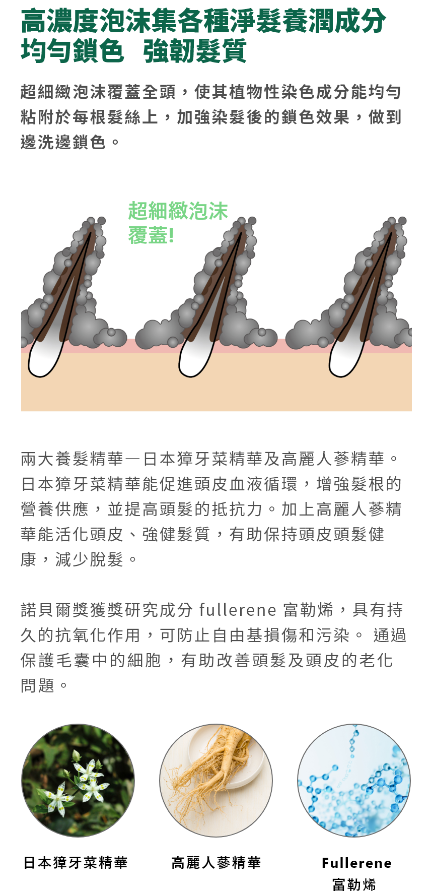 白髮染洗髮露 - 產品系列 - 飄然利尻昆布
