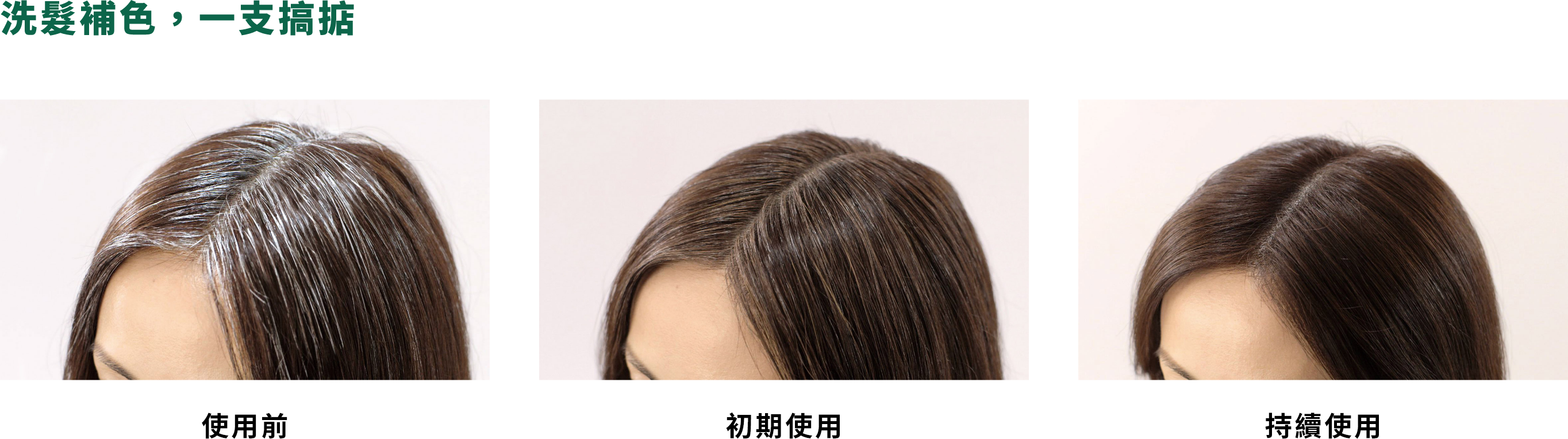 白髮染色洗髮露 - 產品系列 - 飄然利尻昆布