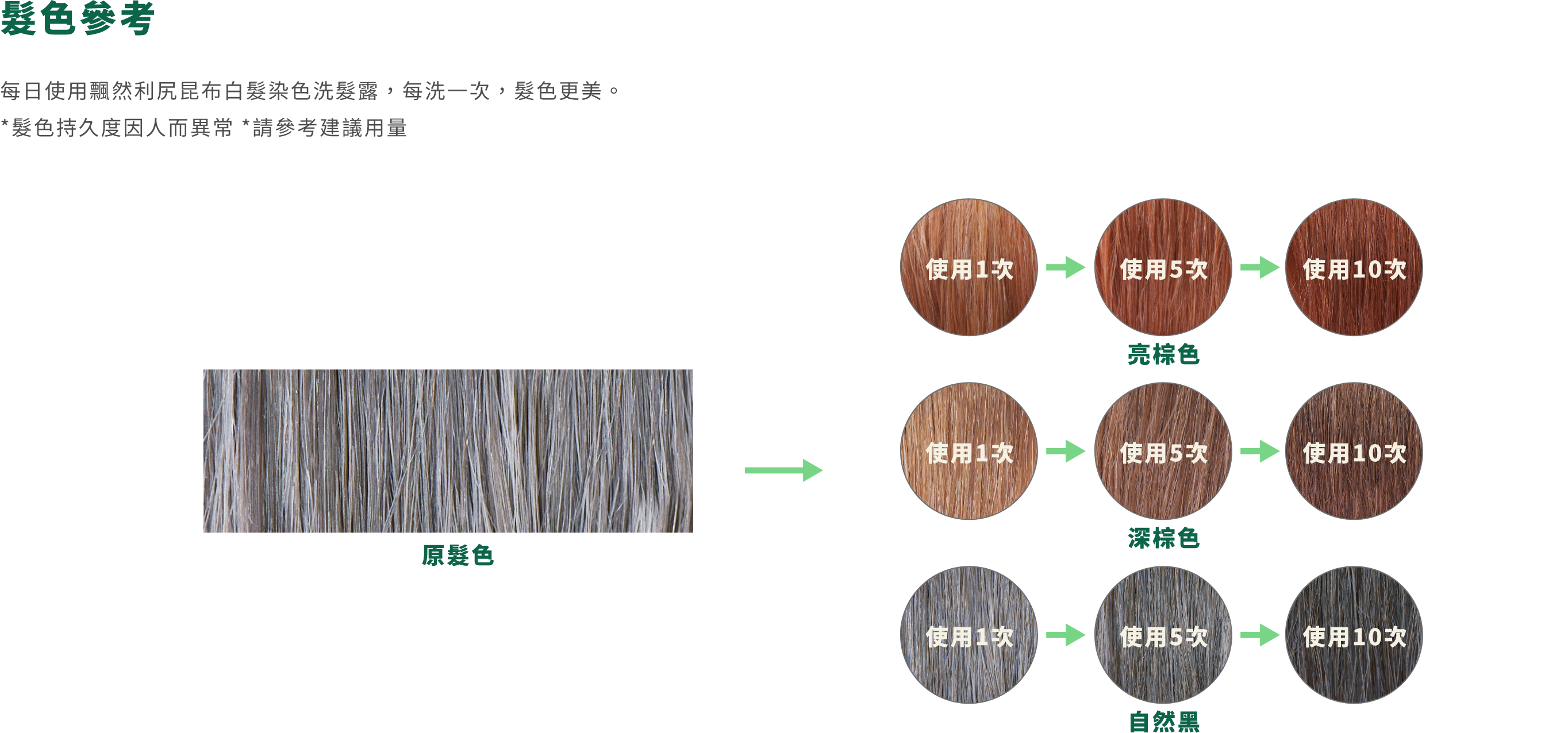 白髮染色洗髮露 - 產品系列 - 飄然利尻昆布