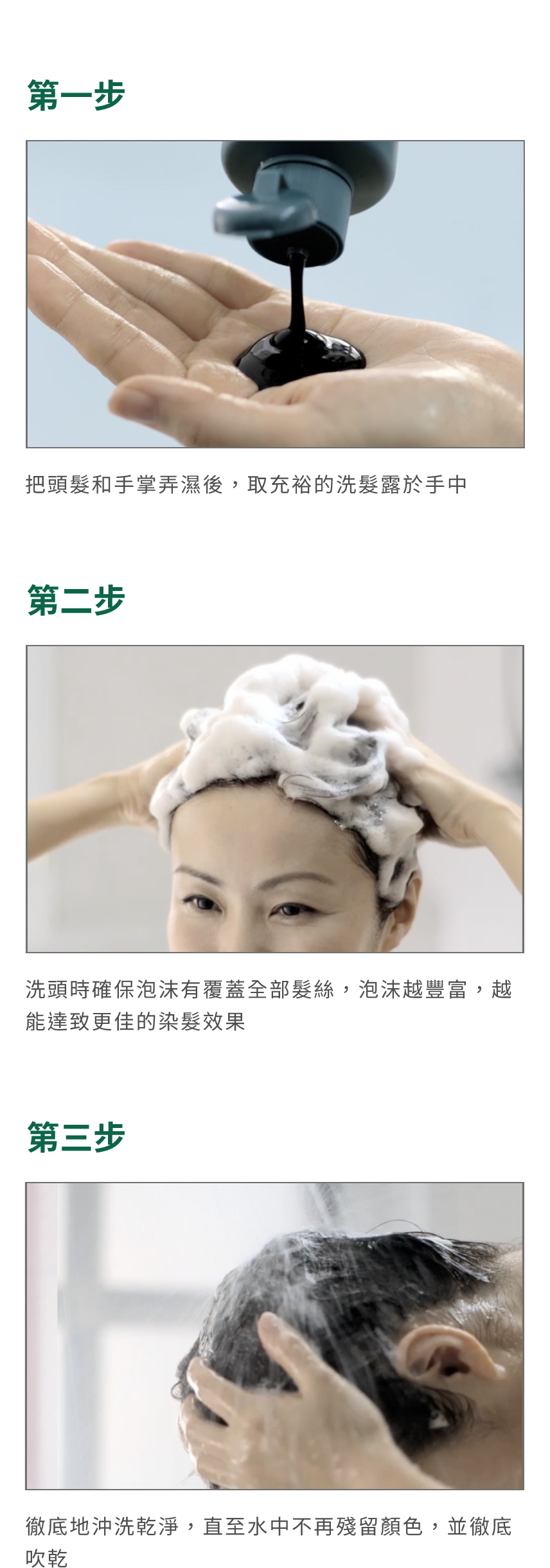 白髮染色洗髮露 - 產品系列 - 飄然利尻昆布