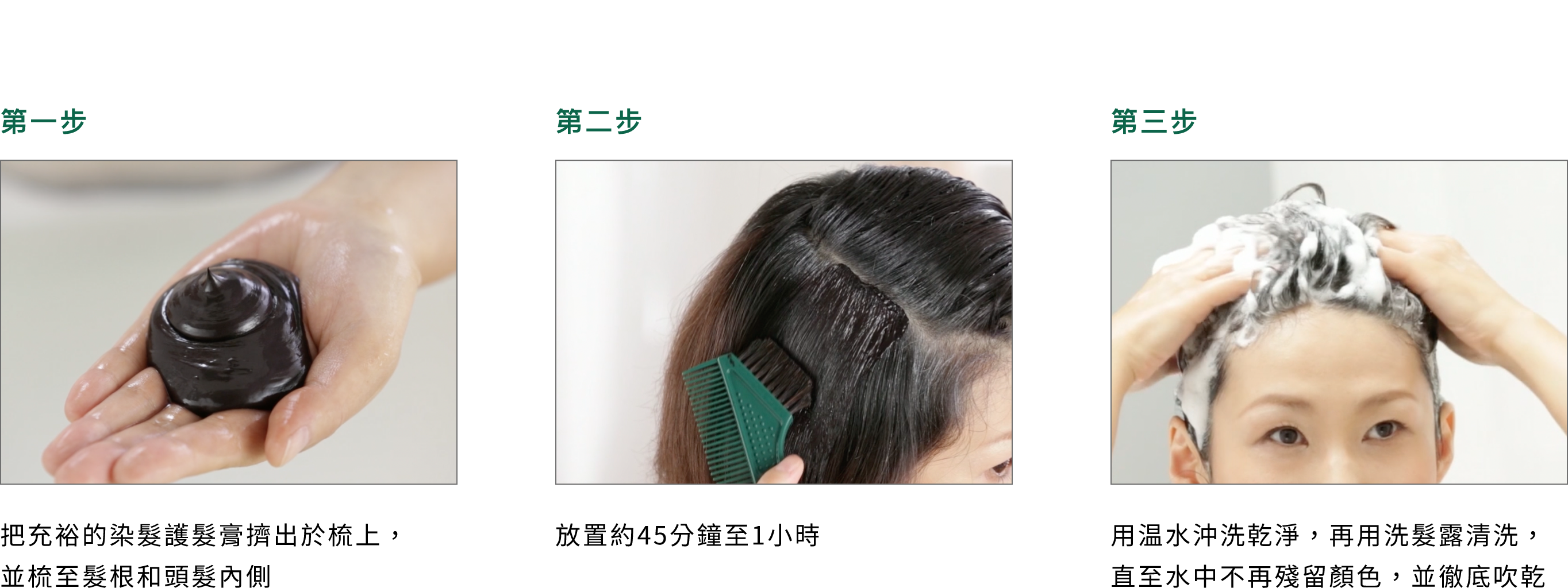 白髮染色護髮膏 - 產品系列 - 飄然利尻昆布